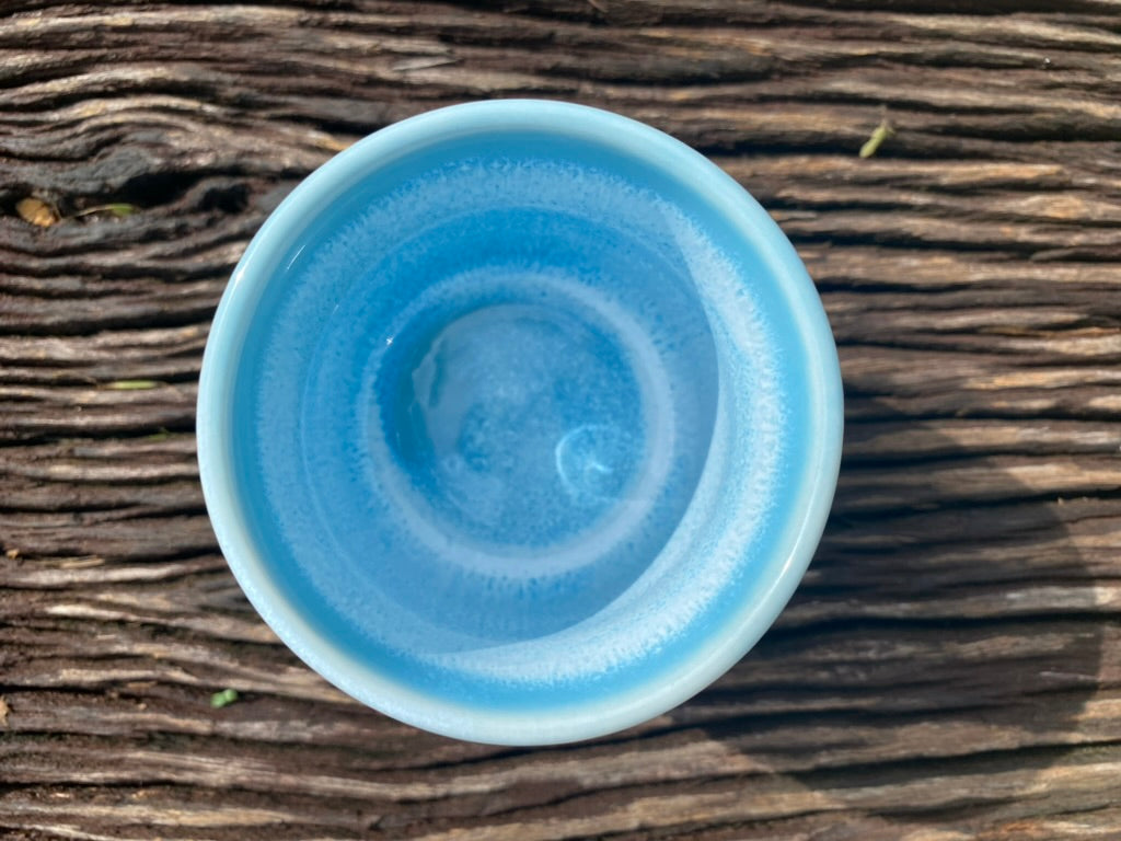 ocean cup