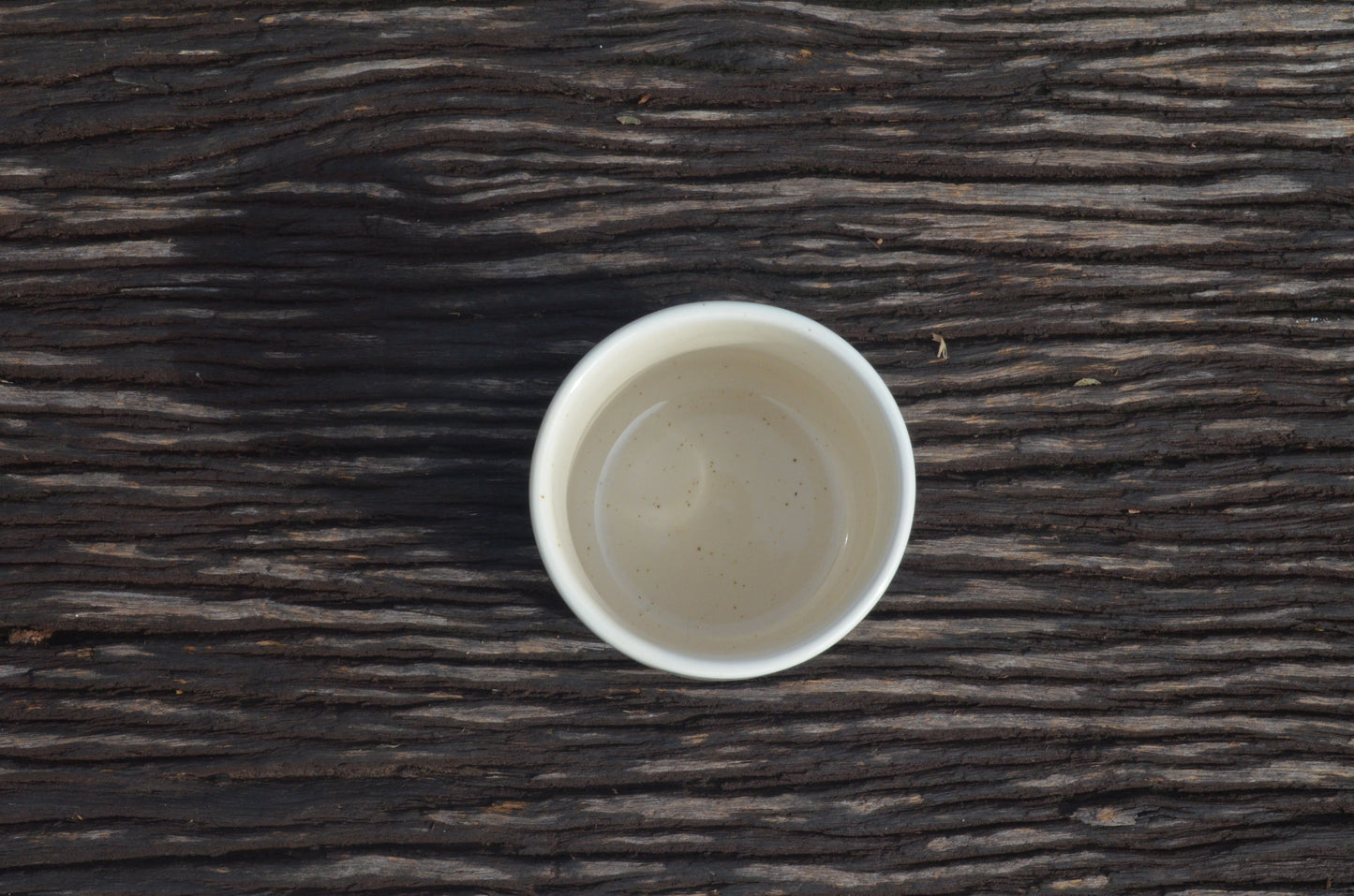seashell cup