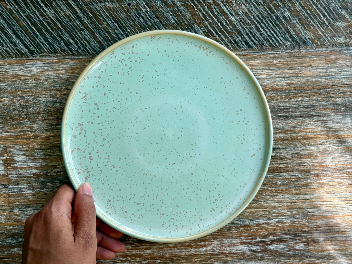 lagoon dinner plate