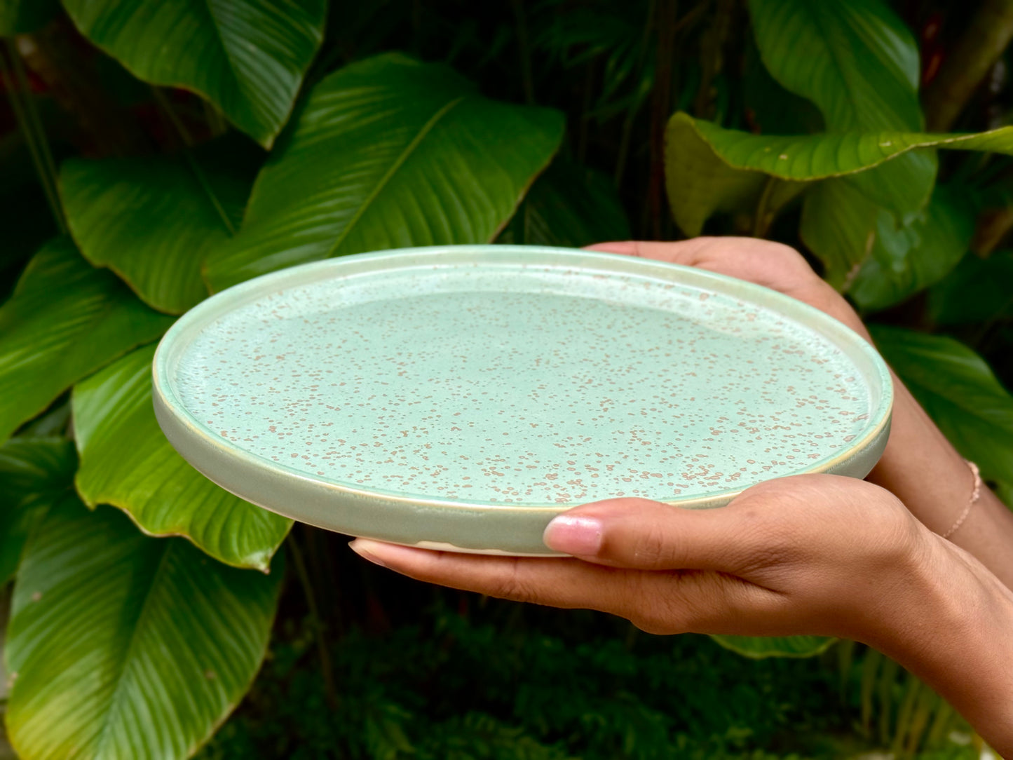 lagoon dinner plate