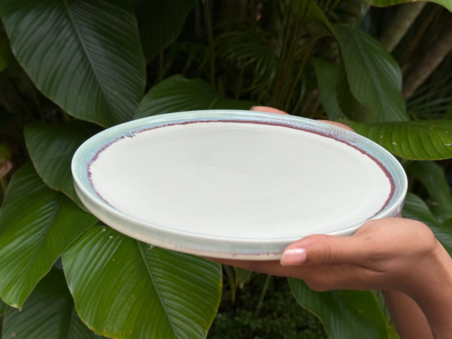 aurora dinner plate