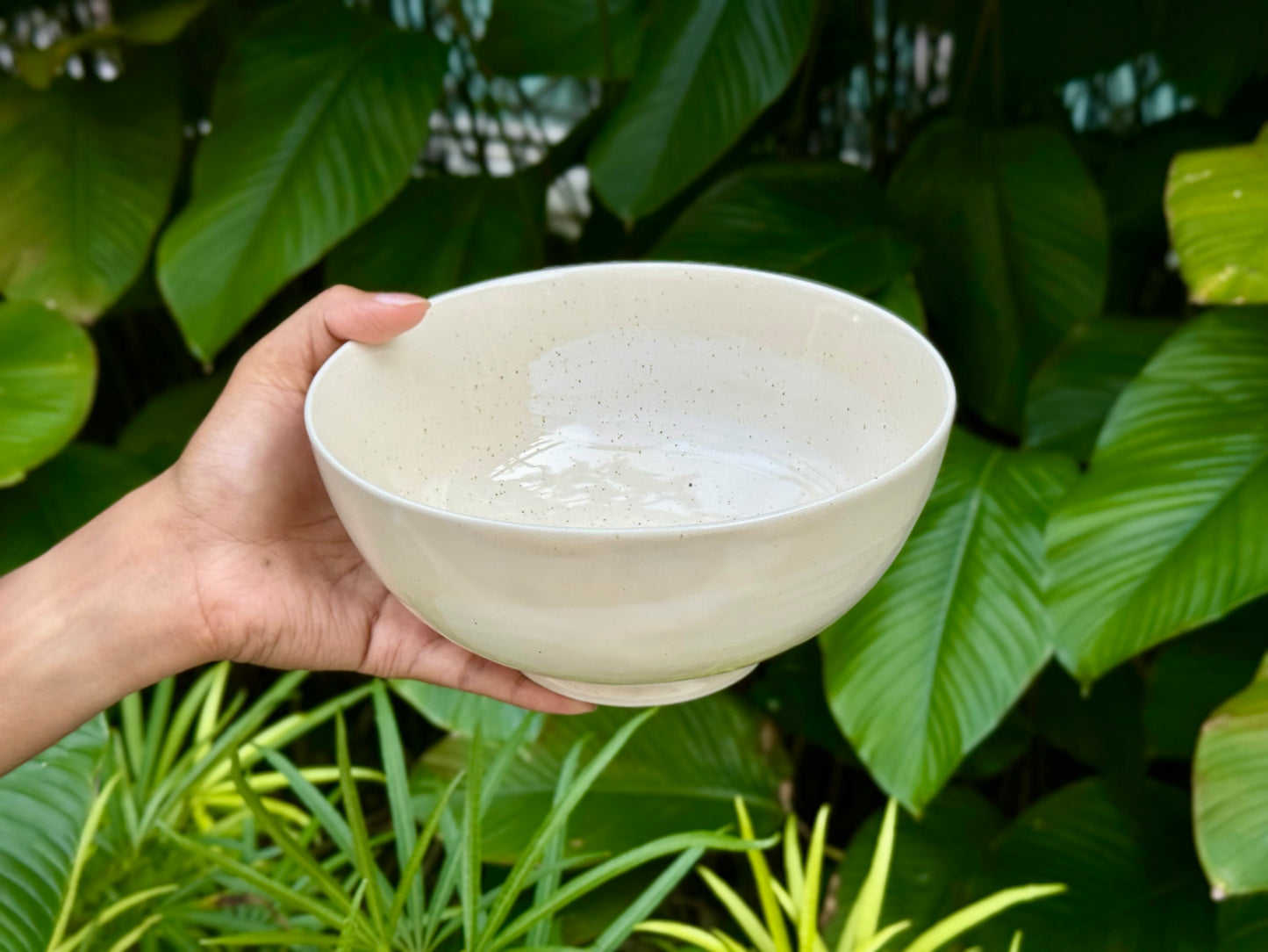 seashell round bowl