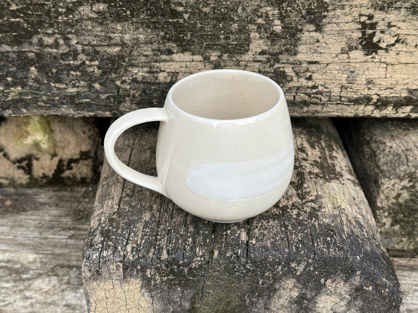 seashell mug