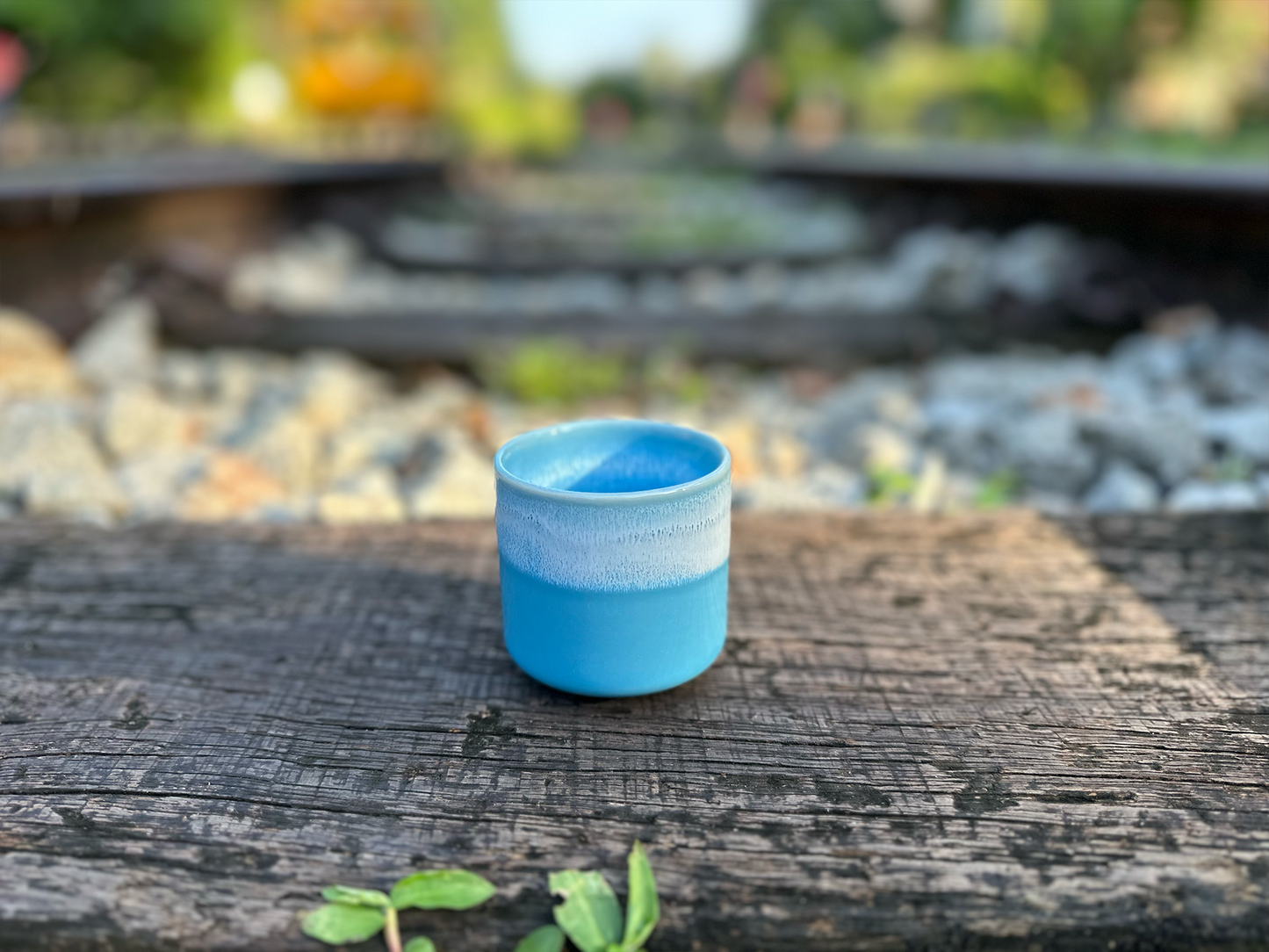 ocean cup