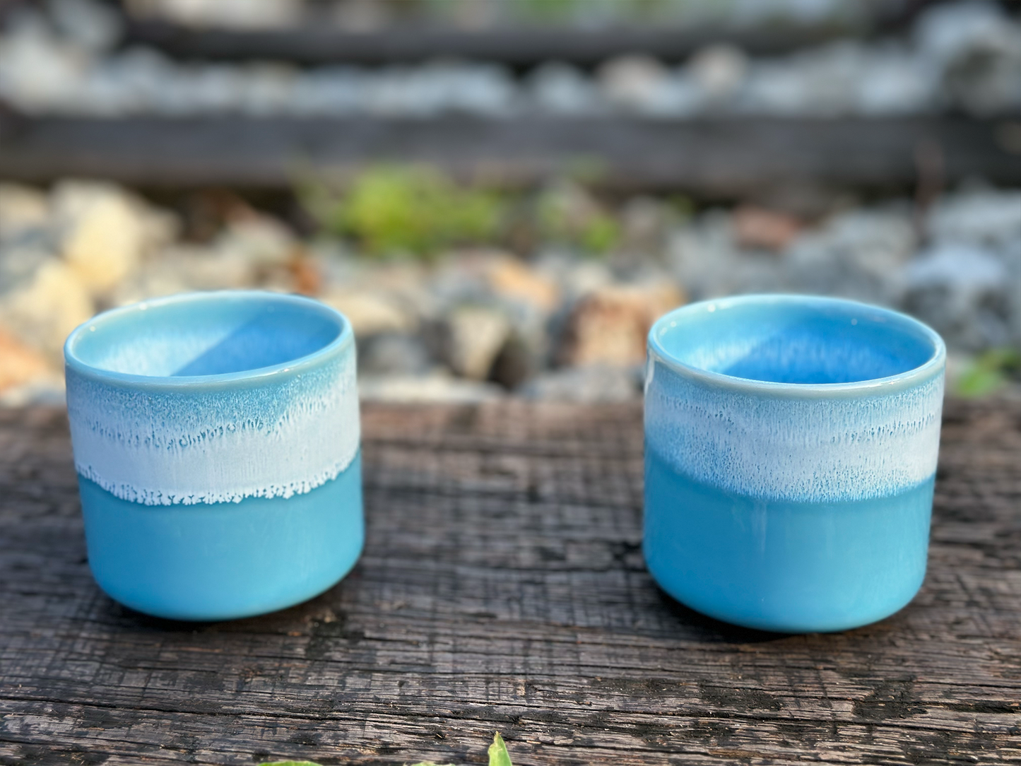 ocean cup