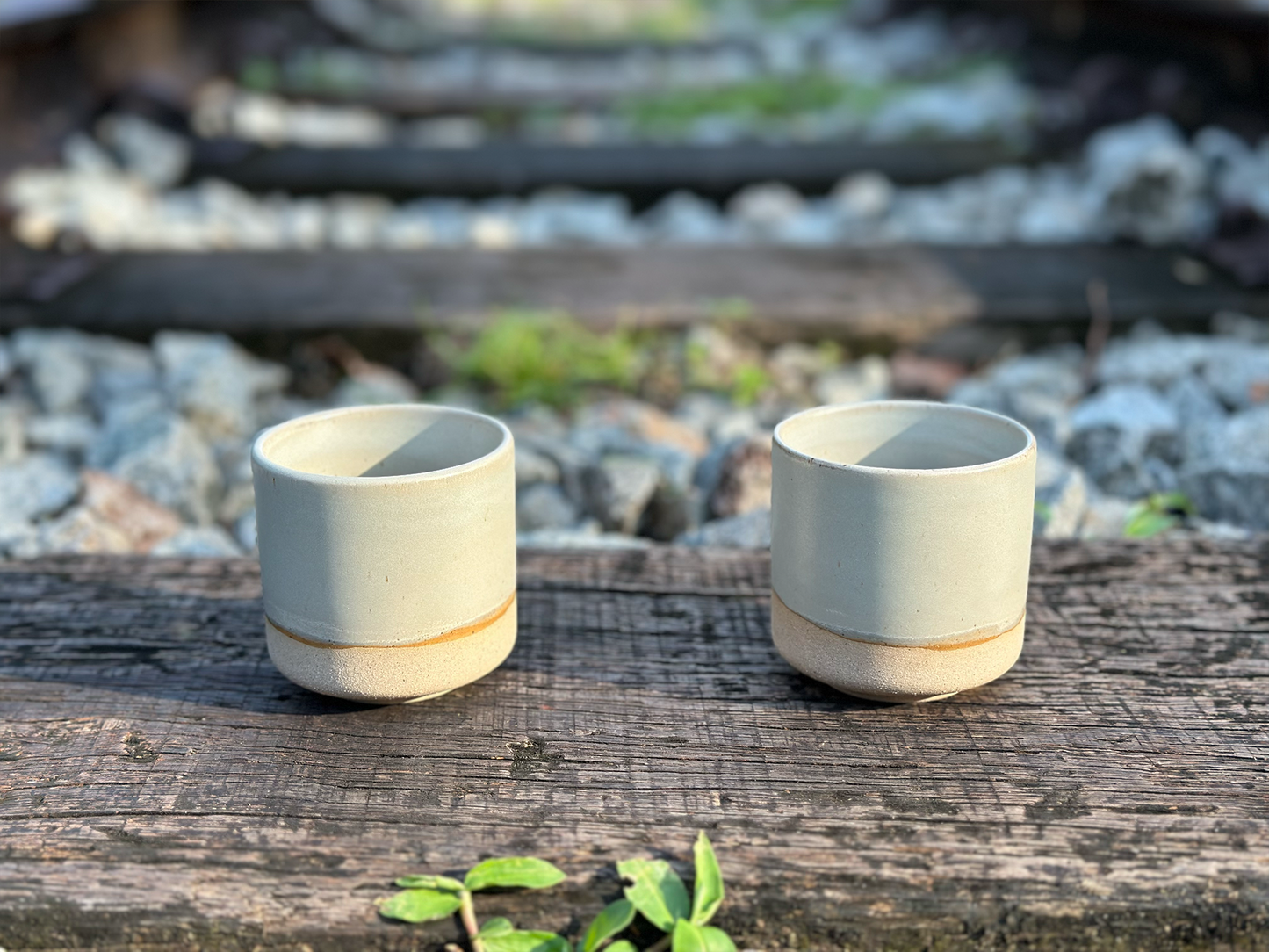 pebble cup