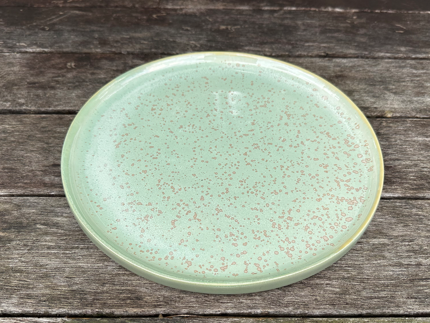 lagoon dinner plate