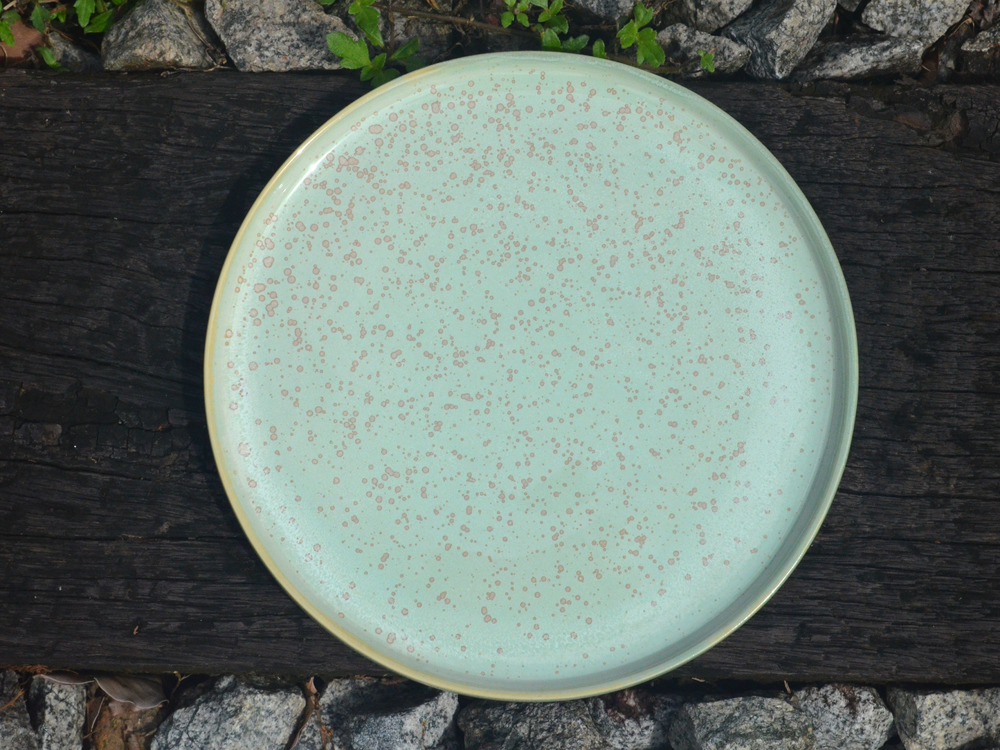 lagoon dinner plate