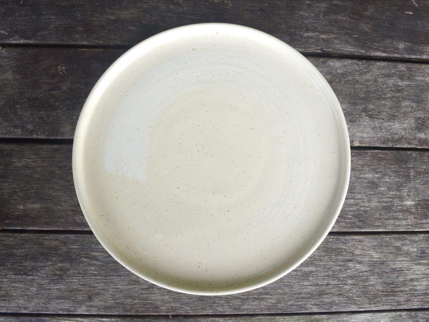 seashell dinner plate