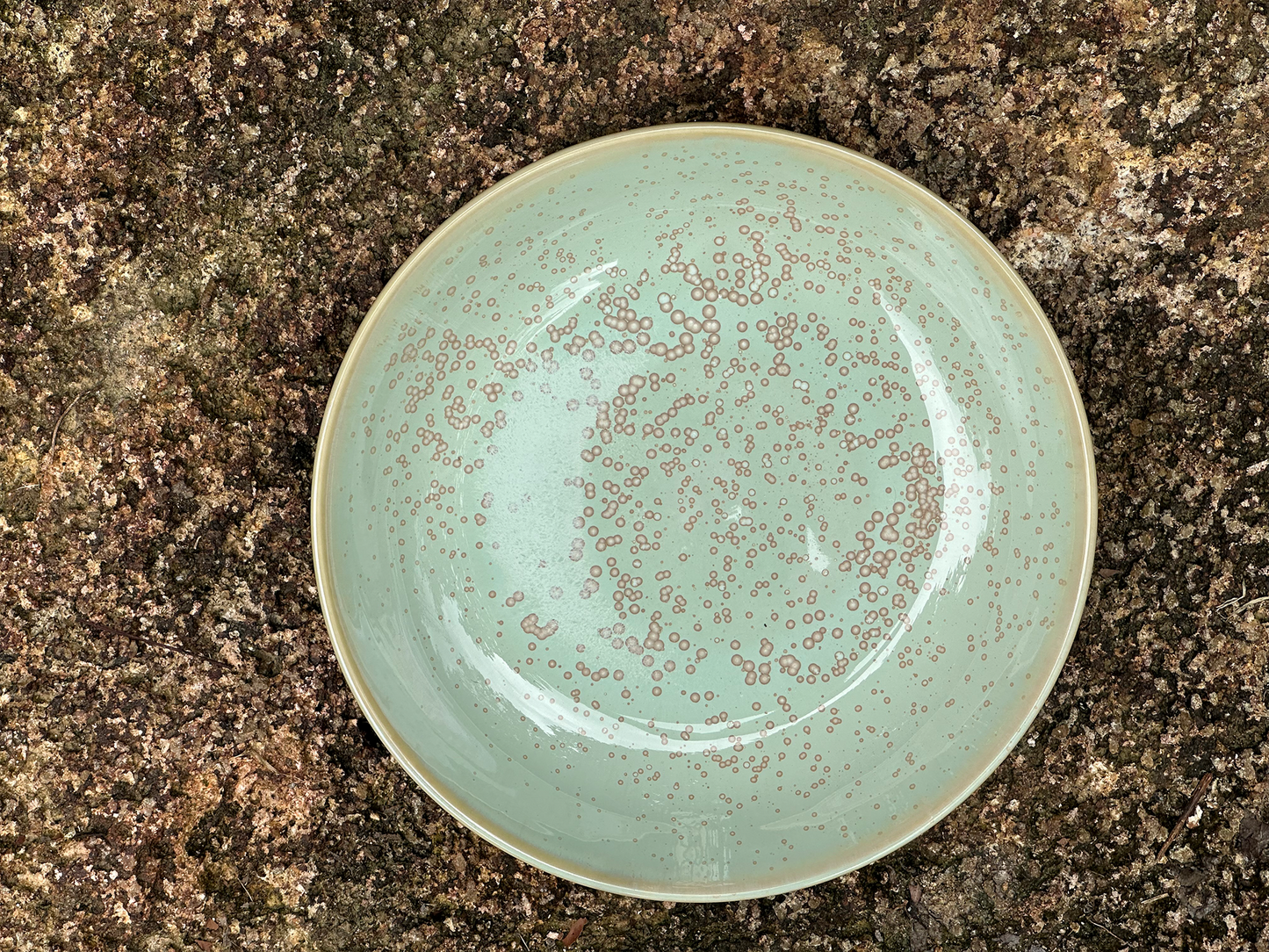 lagoon pasta bowl