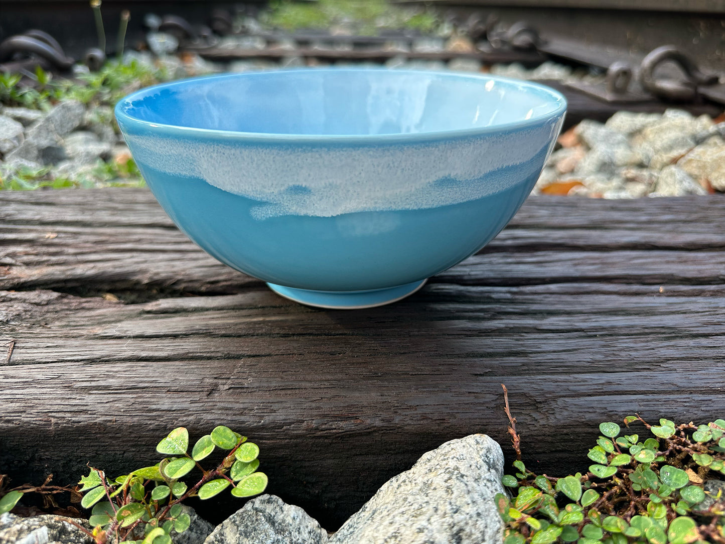 ocean round bowl