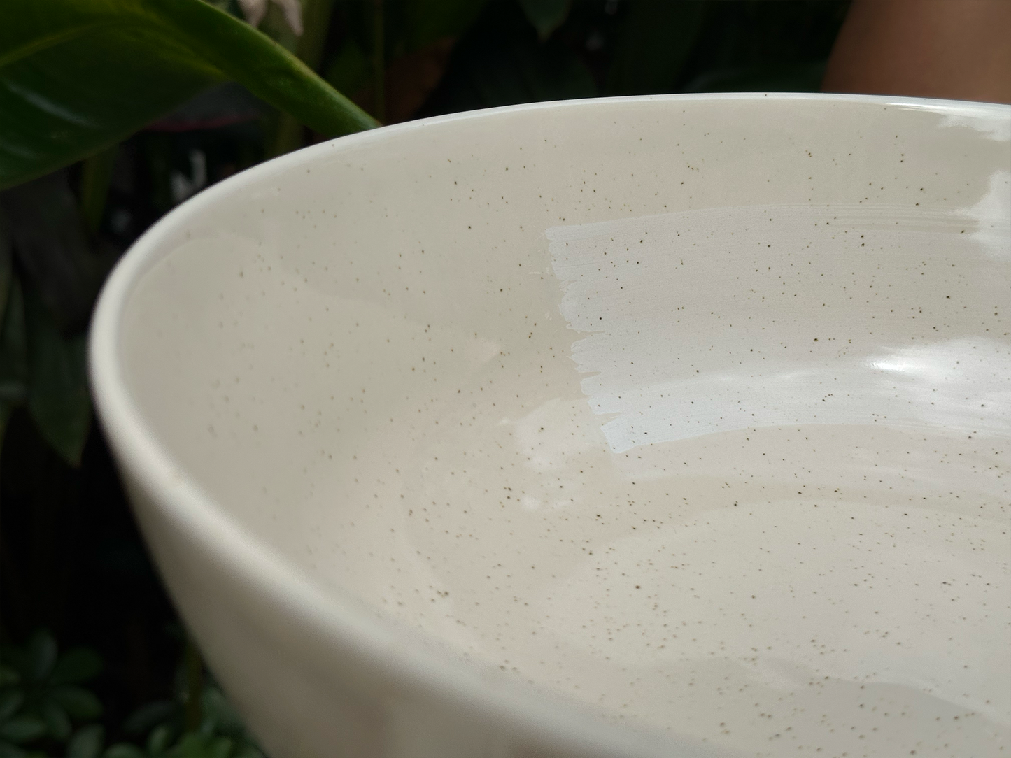 seashell serving bowl