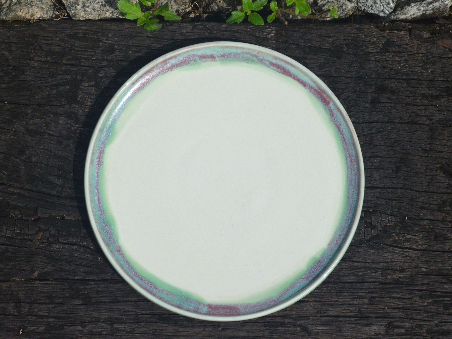 aurora side plate