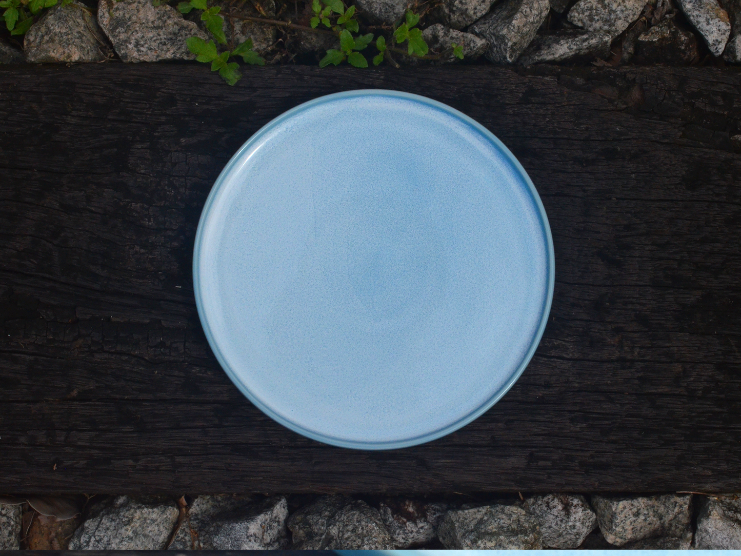 ocean side plate
