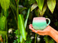 lotus mug