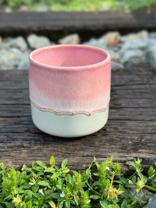 sakura cup