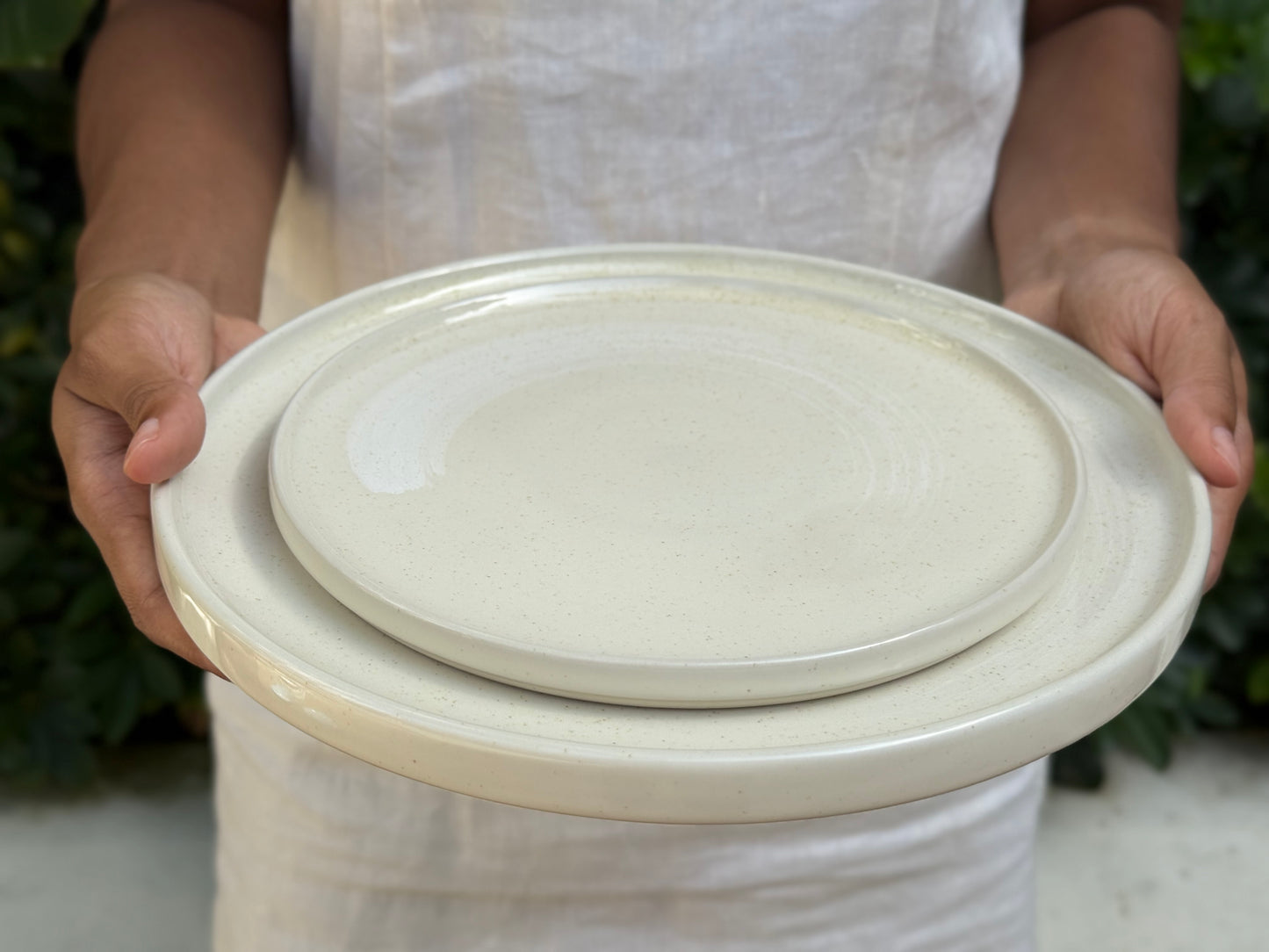 seashell dinner plate