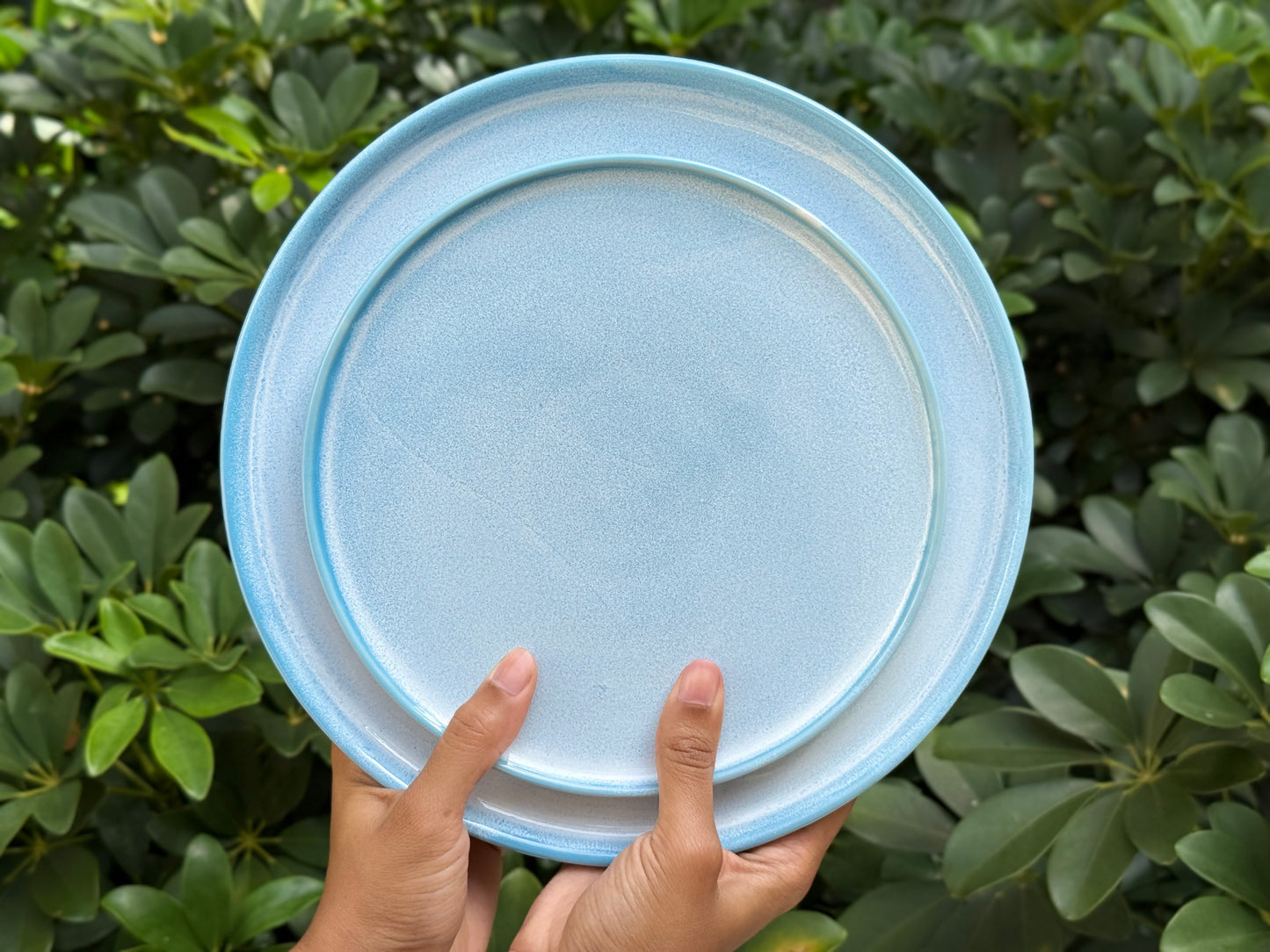 ocean dinner plate
