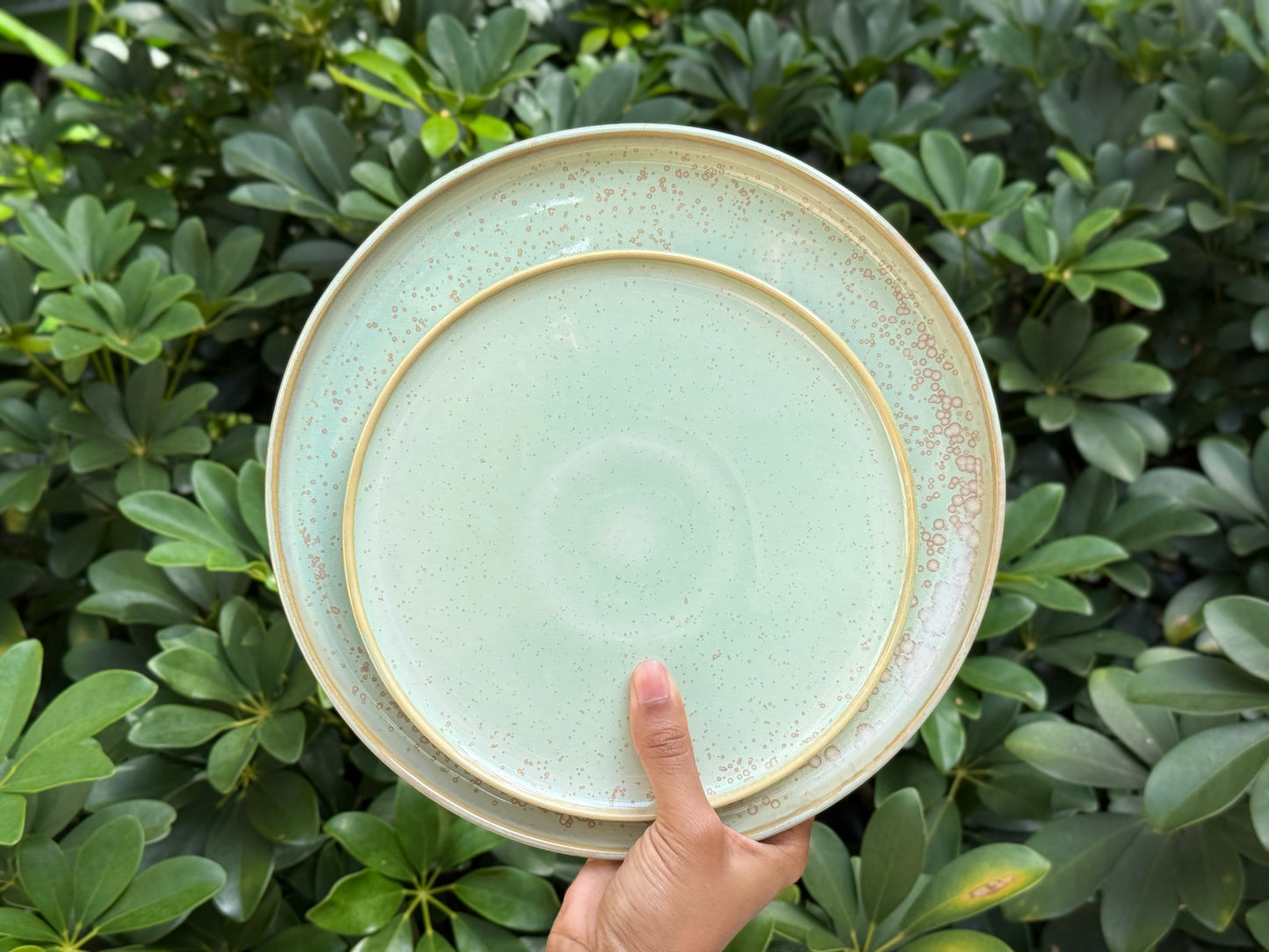 lagoon dinner plate