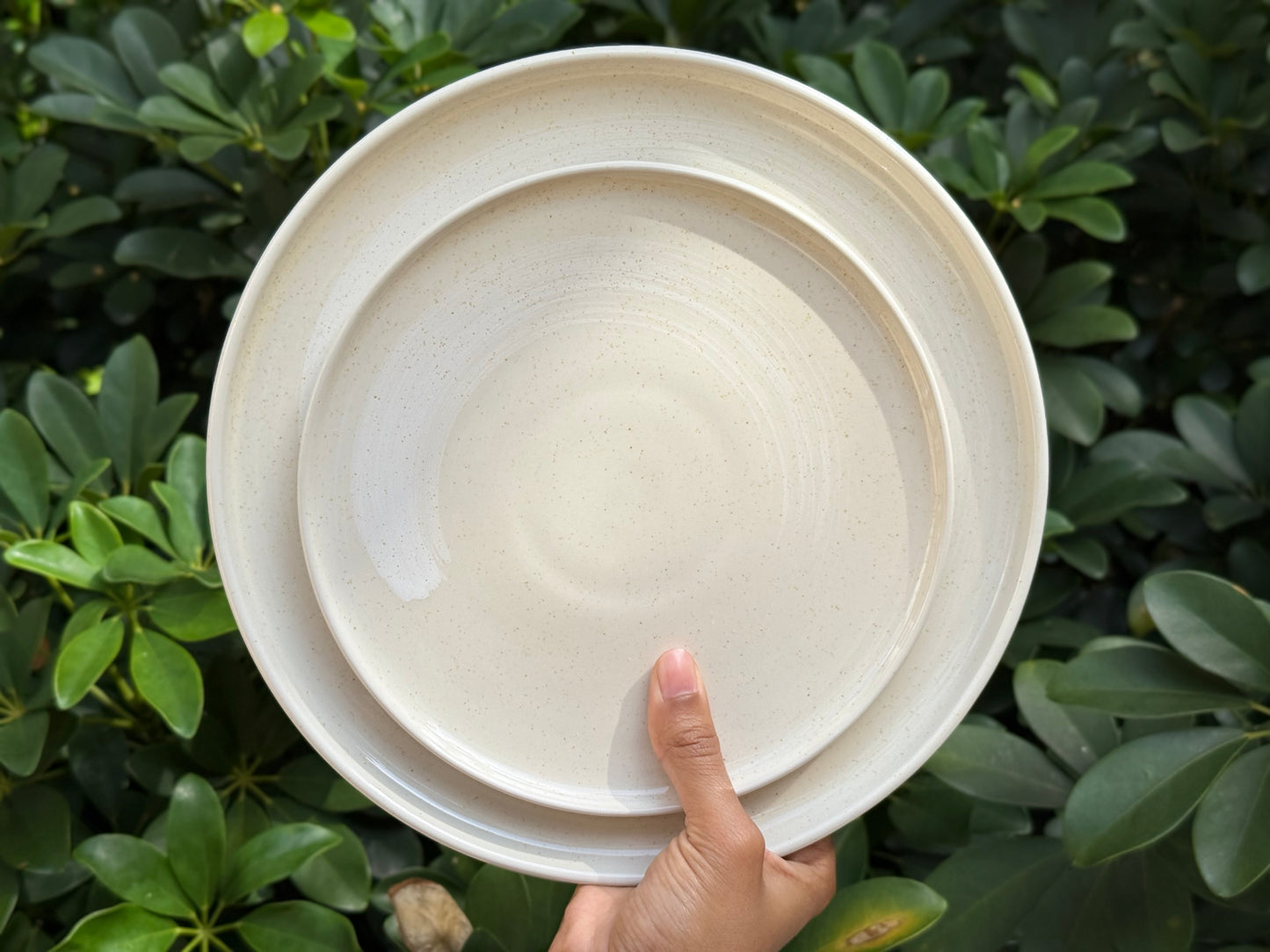 seashell side plate