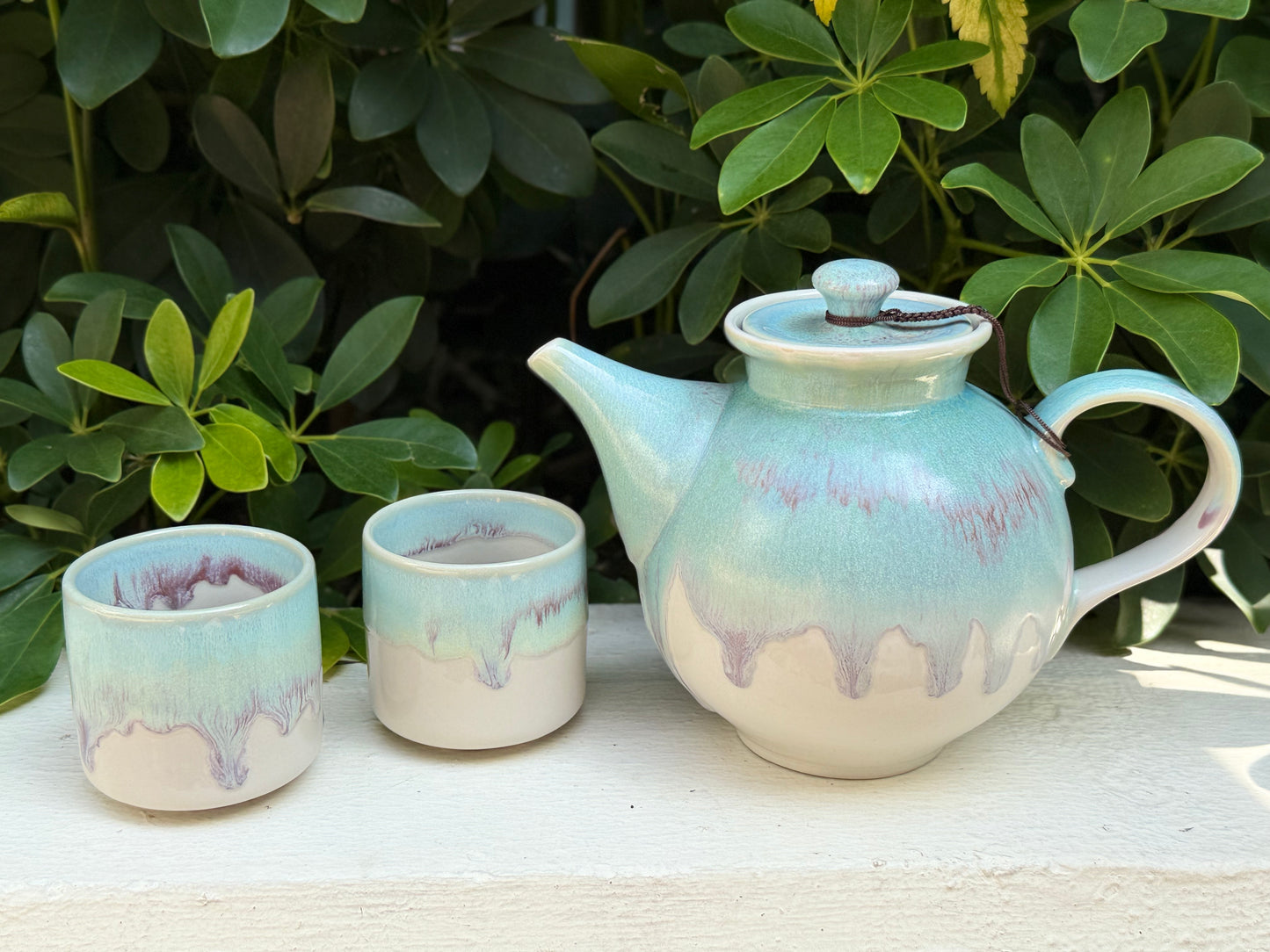 aurora cup