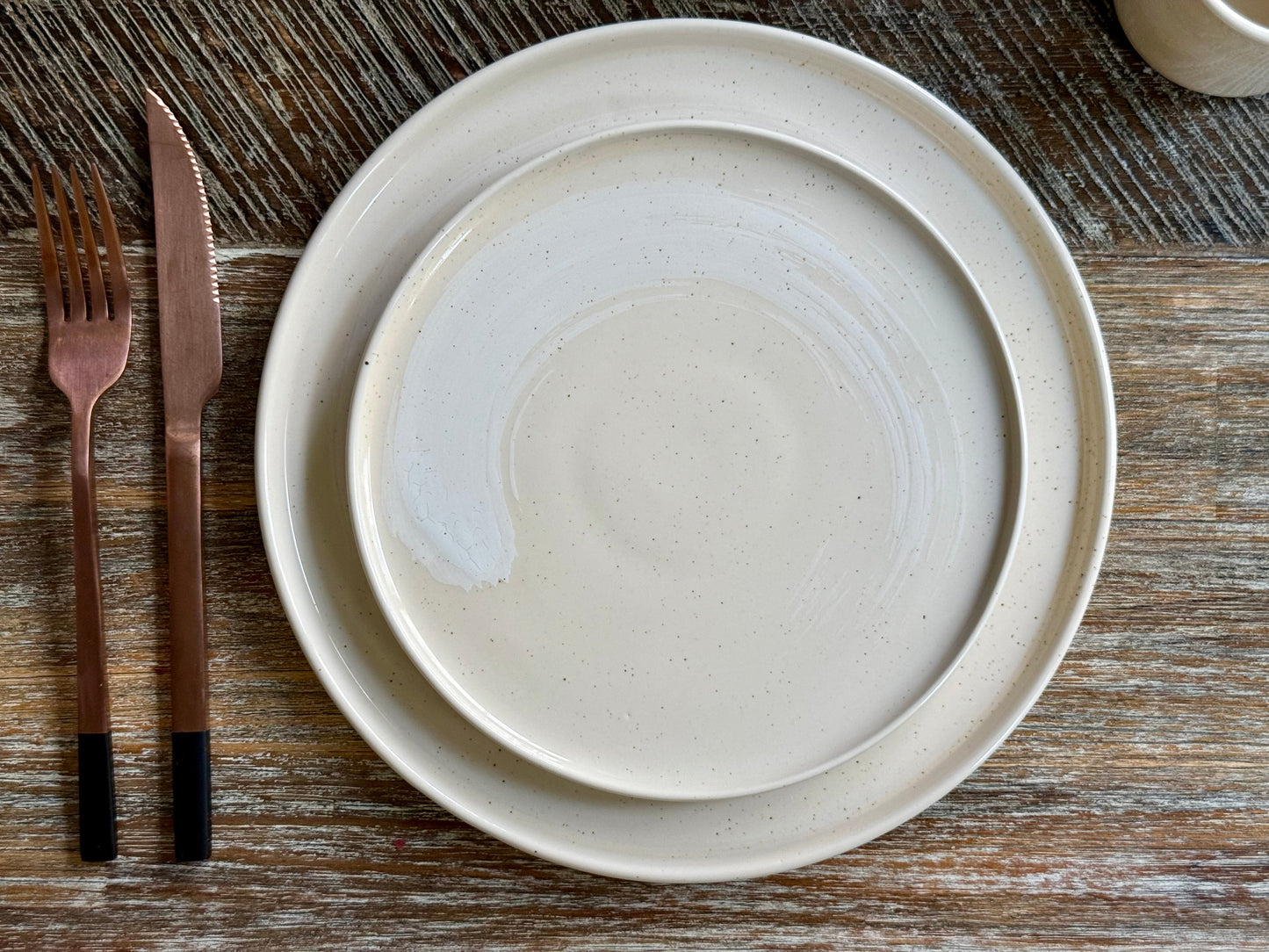 seashell dinner plate
