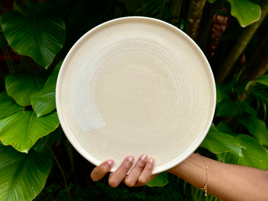 seashell dinner plate