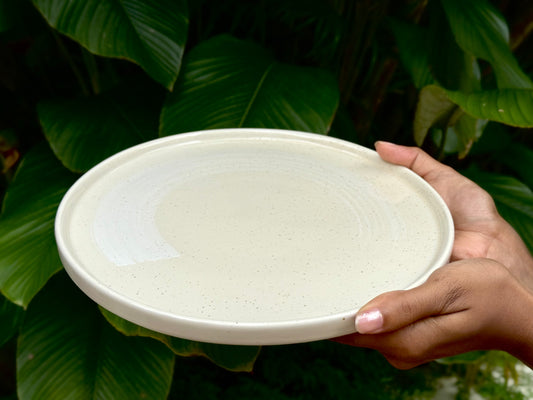 seashell dinner plate