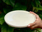 seashell dinner plate