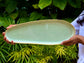 lagoon freeform platter