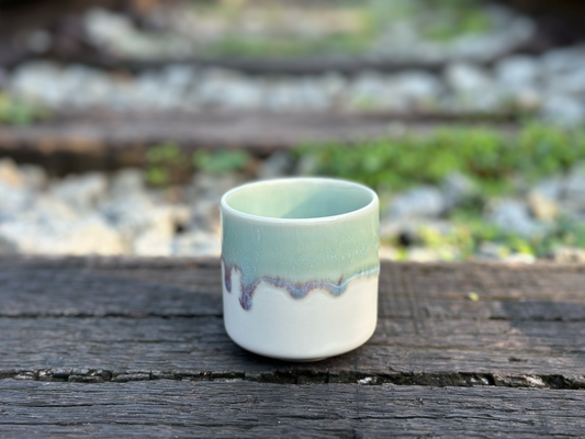 aurora cup