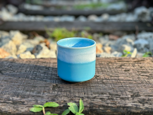ocean cup