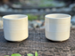 seashell cup