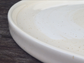 seashell dinner plate